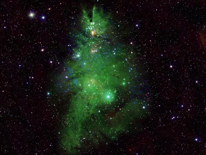 Der Sternhaufen NGC 2264, auch „Christmas Tree Cluster“ genannt, aufgenommen von Teleskopen, die mit der NASA zusammenarbeiten