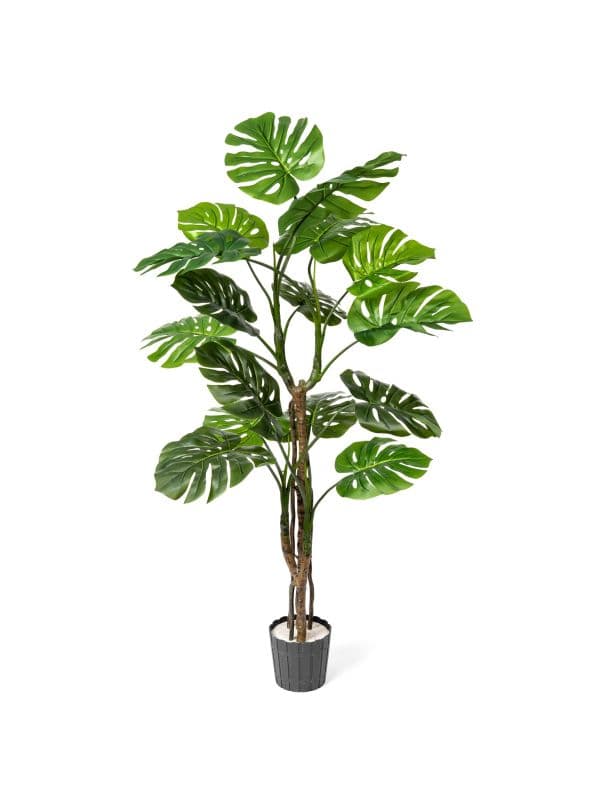 K&uuml;nstliche Monstera auf einem 160 cm hohen Stiel von FairyTrees vor wei&szlig;em Hintergrund, mit gro&szlig;en, gr&uuml;nen Bl&auml;ttern und charakteristischen Einschnitten.