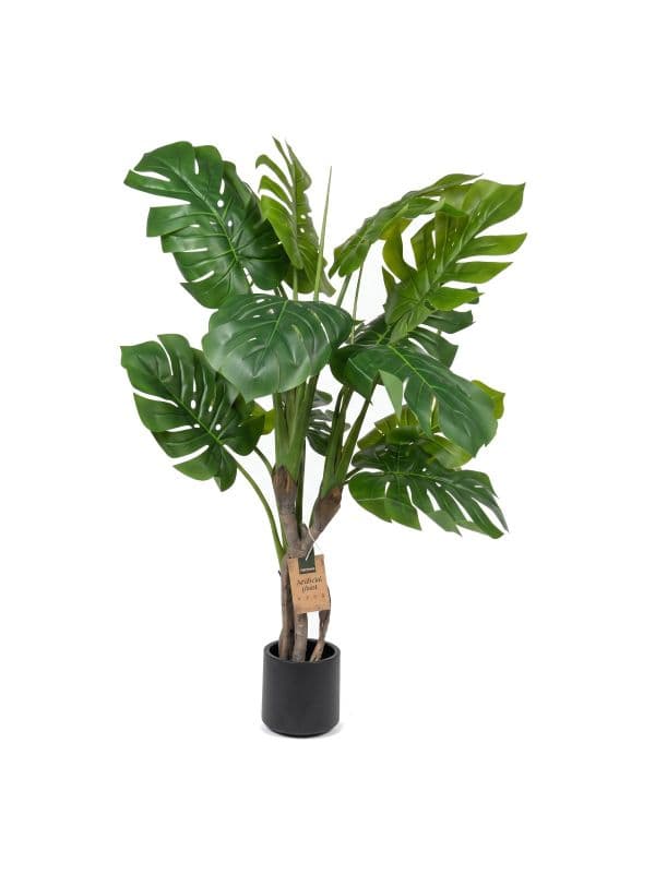 Monstera auf Stamm 120 cm