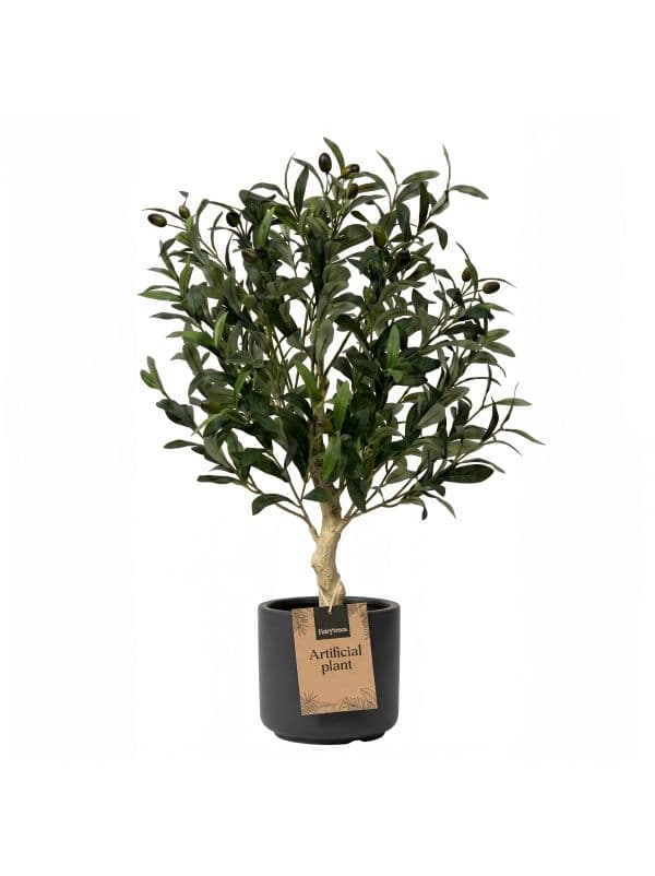 Kleiner k&uuml;nstlicher Olivenbaum 60 cm FairyTrees mit zarten Bl&auml;ttchen und Olivenfr&uuml;chten auf hellem Hintergrund. 