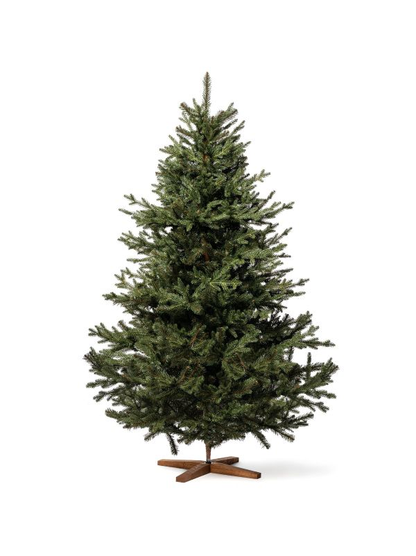 Alpen-Tanne FairyTrees FT33-180 – künstlicher Weihnachtsbaum mit einer charakteristischen Glockenform für ein harmonisches Aussehen.