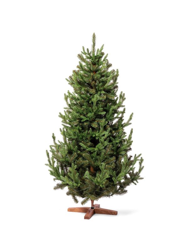 Bayerische Tanne FairyTrees FT32-180 – künstlicher Weihnachtsbaum mit sanften Farbverläufen für eine authentische Optik.