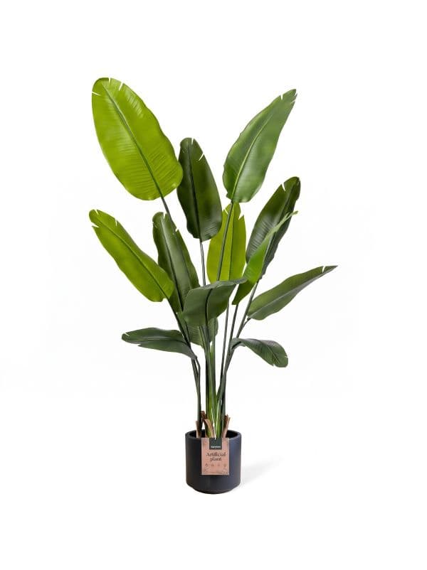 K&uuml;nstliche Strelitzia 165 cm von FairyTrees mit schlanker Form und gro&szlig;en, l&auml;nglichen Bl&auml;ttern vor hellem Hintergrund.