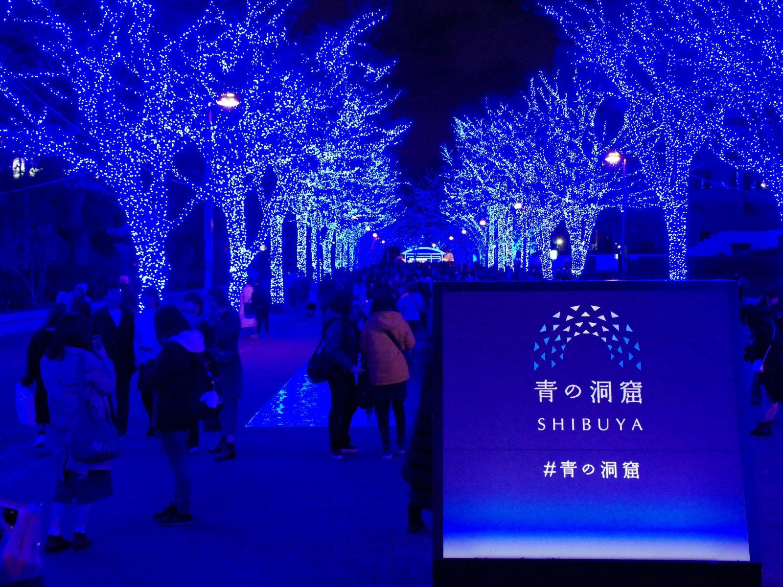 Eine Baumallee in Tokio ist mit intensiven blauen LED-Lichtern beleuchtet und bildet die bekannte Lichtinstallation Blue Cave in Shibuya.