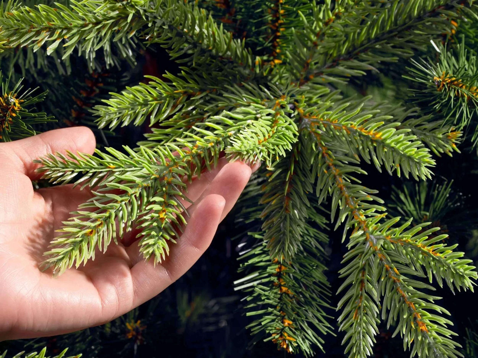  FairyTrees FT06 künstlicher Weihnachtsbaum, Nahaufnahme eines aus PE gespritzten Zweigs