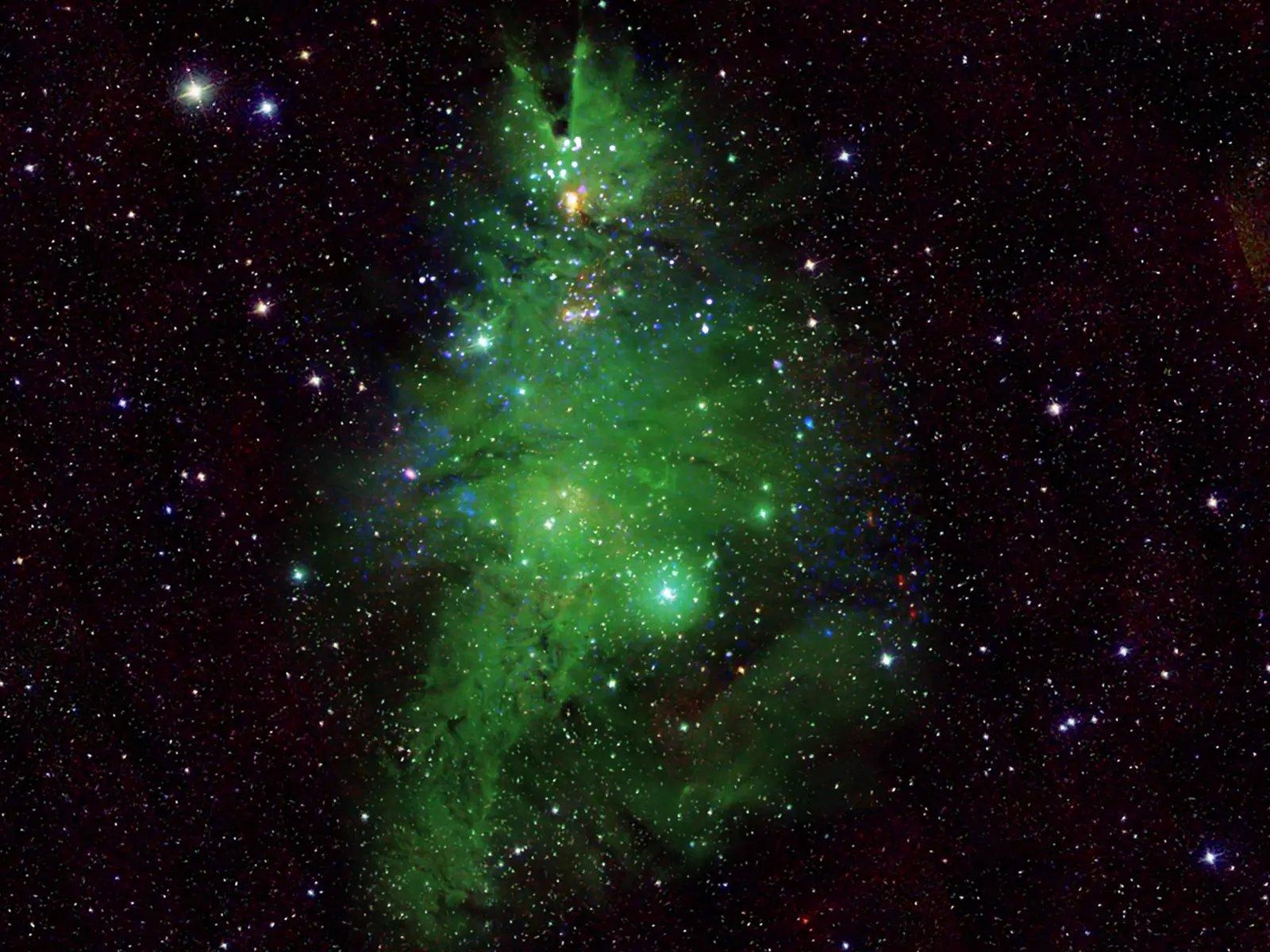Der Sternhaufen NGC 2264, auch „Christmas Tree Cluster“ genannt, aufgenommen von Teleskopen, die mit der NASA zusammenarbeiten