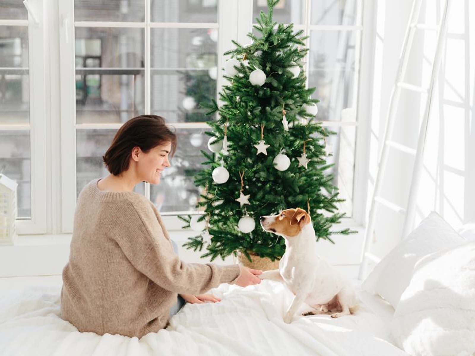 Langlebiger künstlicher Weihnachtsbaum – Was bestimmt eigentlich seine Haltbarkeit?