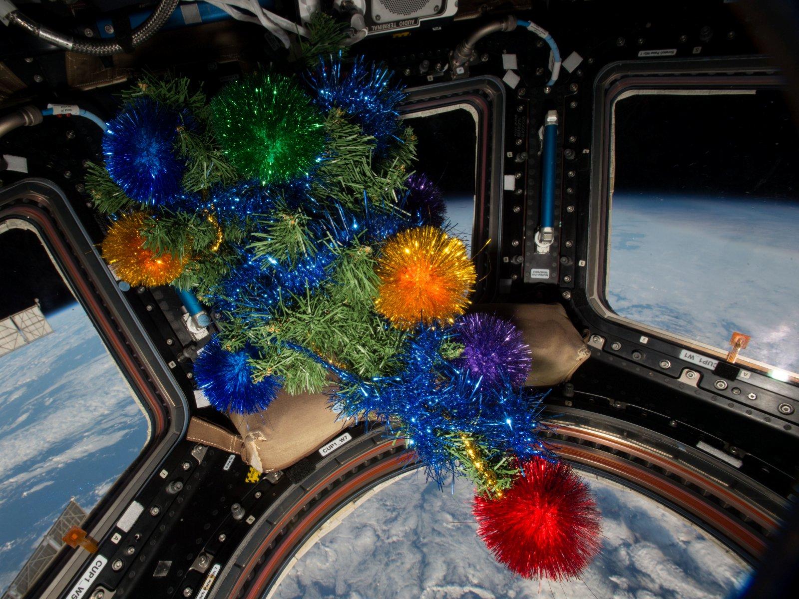 Der geschm&uuml;ckte Weihnachtsbaum im Cupola-Modul der Internationalen Raumstation, 25. Dezember 2015.