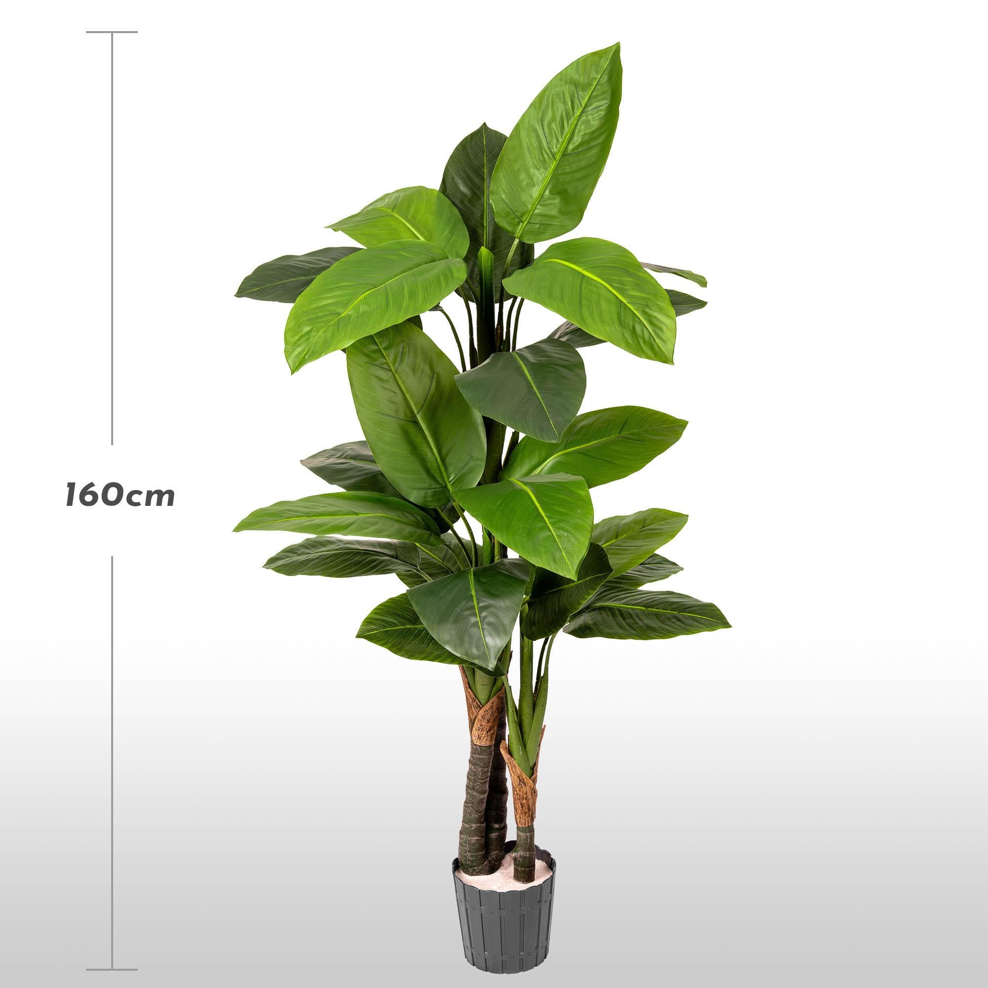 K&uuml;nstliche Monstera auf einem 160 cm hohen Stiel von FairyTrees vor hellem Hintergrund mit Angabe der Pflanzenh&ouml;he.